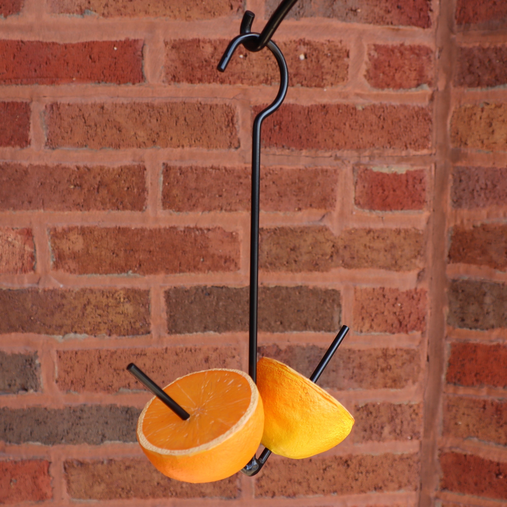 Erva Two Prong Fruit Feeder hanging in use