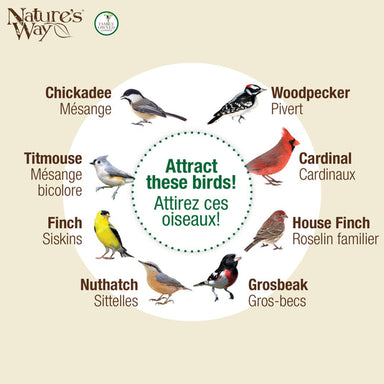 Birds feeding from Nature's Way Cobalt metal mesh feeder