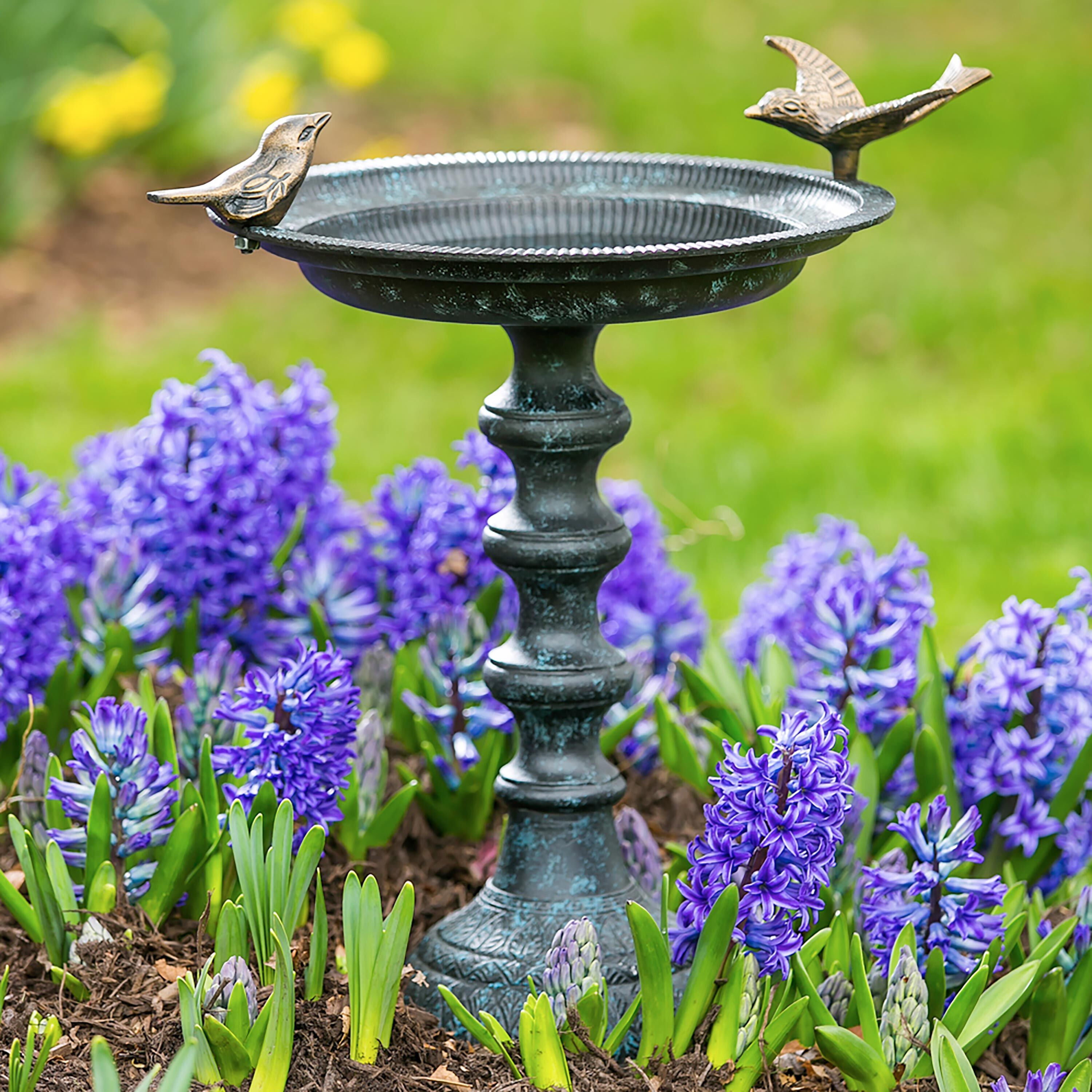 Sculpted Songbirds pedestal birdbath standing in a spring hyacinth flower bed