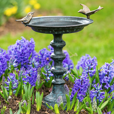 Sculpted Songbirds pedestal birdbath standing in a spring hyacinth flower bed