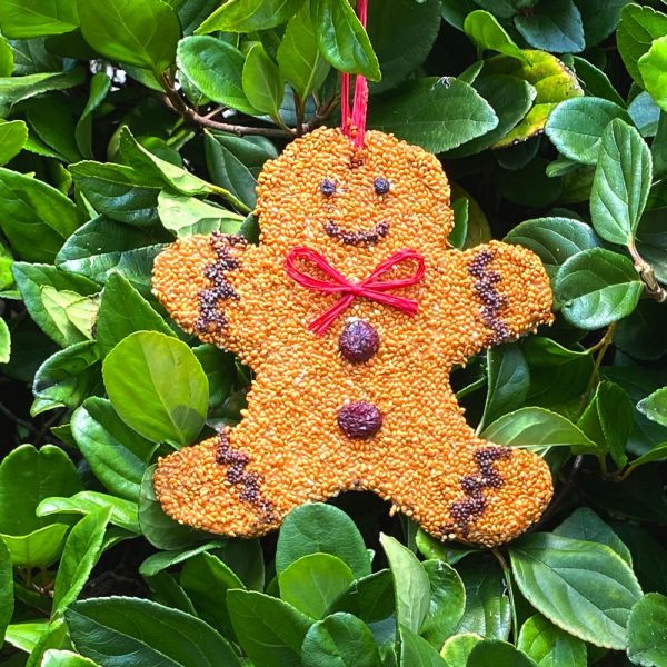 Mr Bird - Gingerbread Man Christmas Cookie