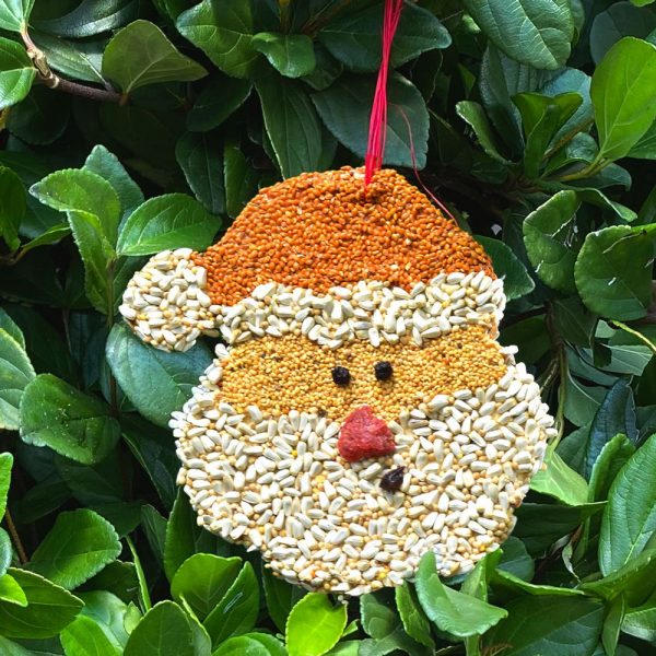 Mr Bird - Christmas Cookie Santa
