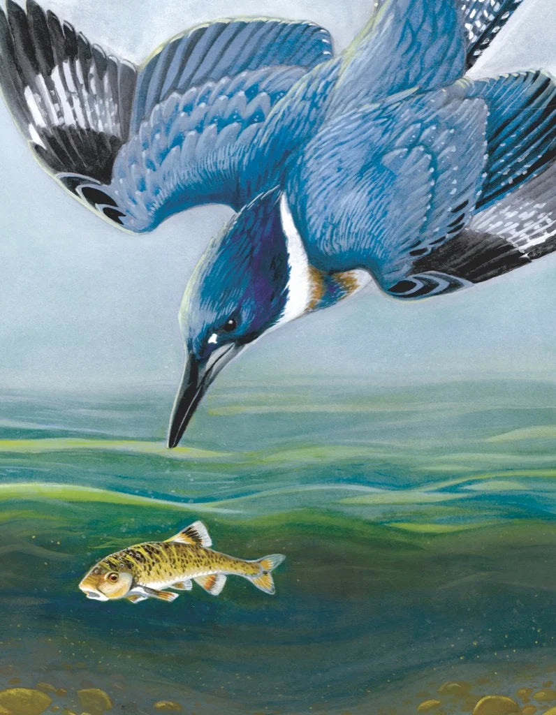 Belted Kingfisher Mini 100pc Puzzle