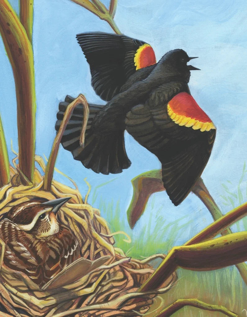 Red-Winged Blackbird Mini 100pc Puzzle