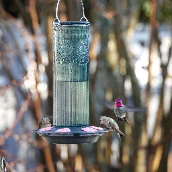 Teal Antique Glass 28oz Hummingbird Feeder