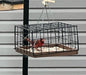 Northern Cardinal feeding inside the Dove Guard