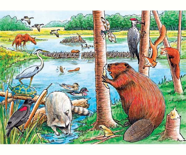 Cobble Hill 35pc Tray Puzzle