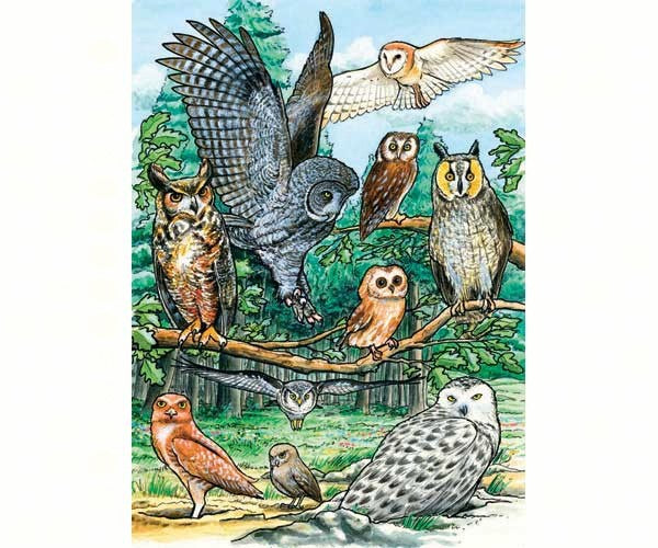 Cobble Hill 35pc Tray Puzzle