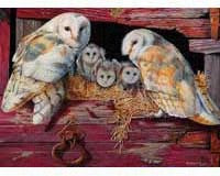 Barn Owls 1000pc Puzzle