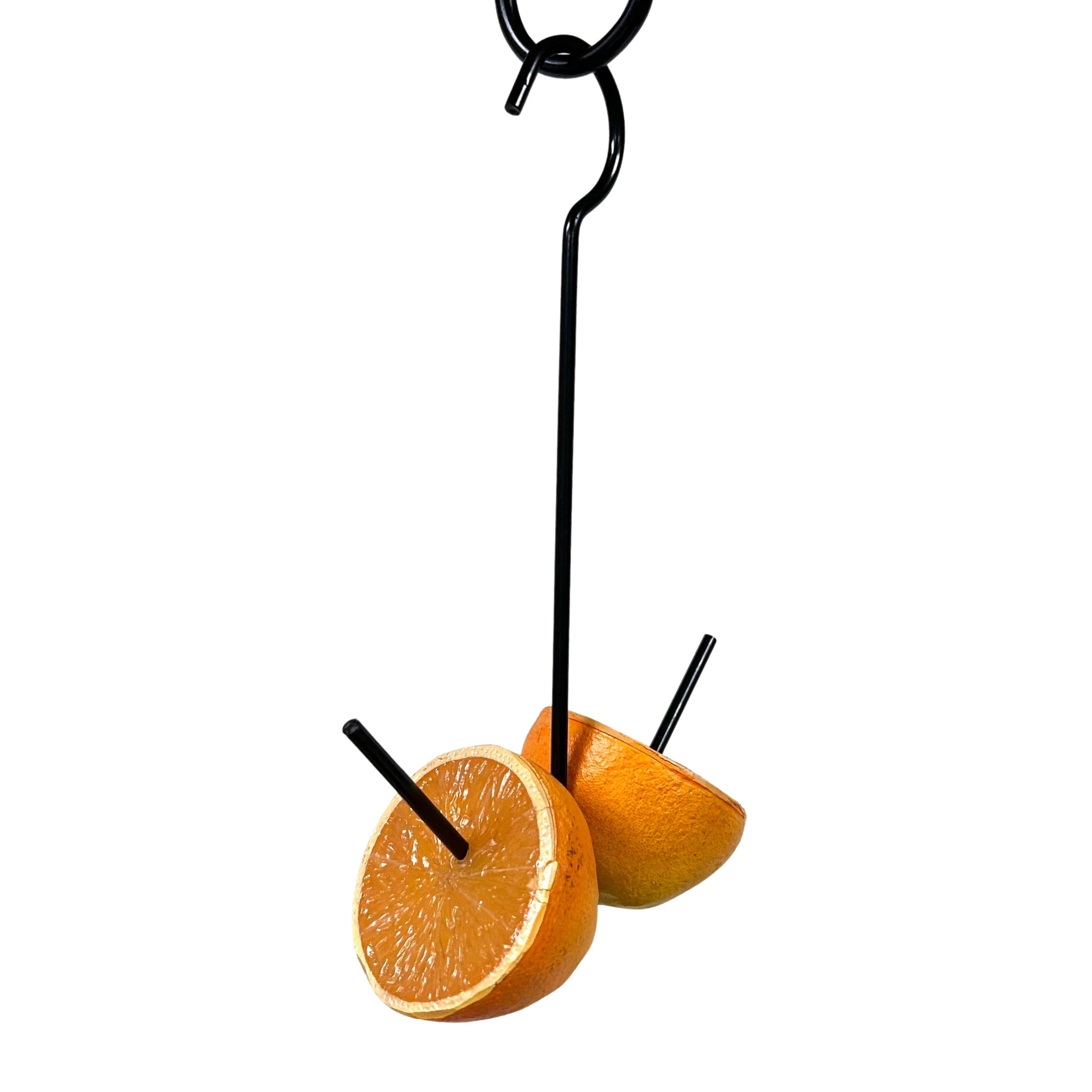Erva Two Prong Fruit Feeder