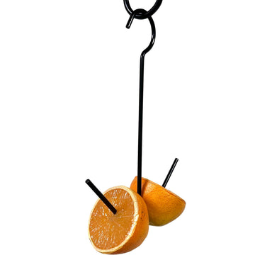 Erva Two Prong Fruit Feeder