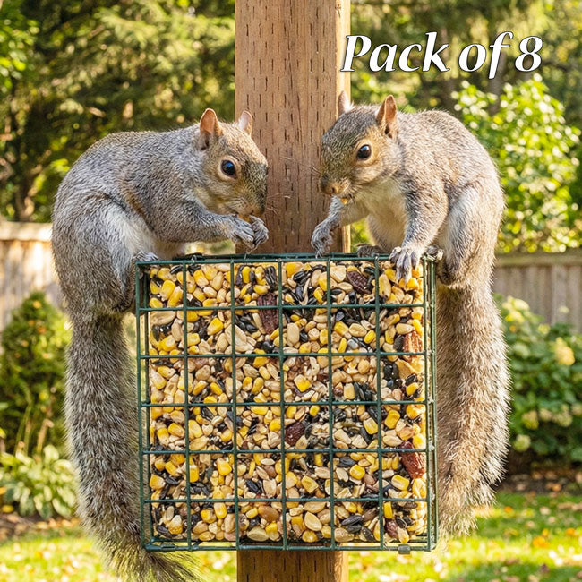Bushy Tail Squirrel Cake - 2.5lbs