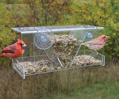 Songbird Essentials Clear View Deluxe Hopper Window Feeder mounted on window