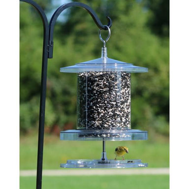 Songbird Essentials All Weather 4 Quart Feeder Clear in use