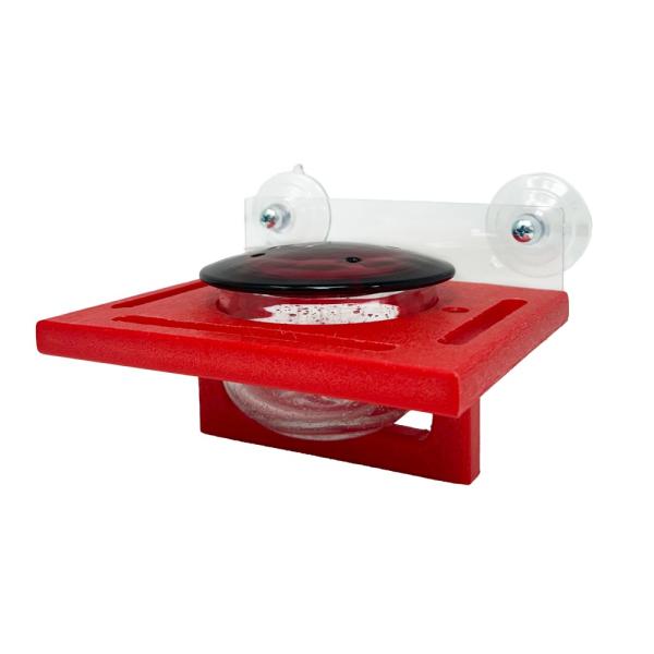 Red Window Hummingbird Feeder - Glass