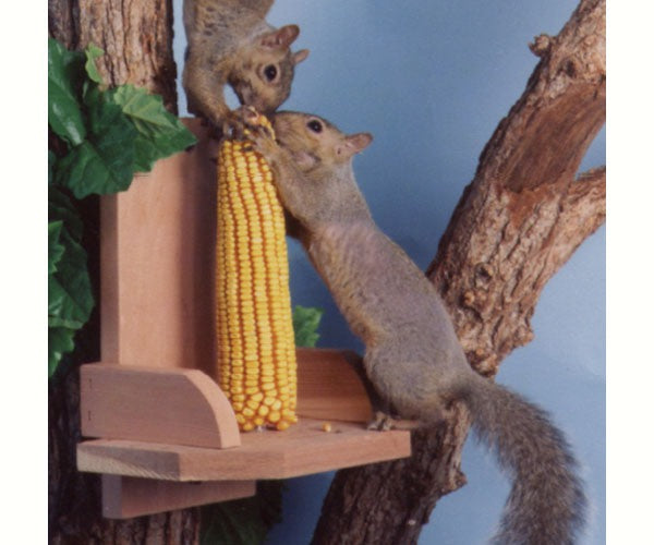 Squirrel Platform Feeder