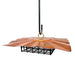 Double Suet Cake Feeder Copper Roof