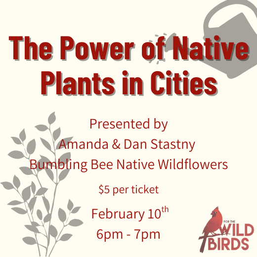 The Power of Native Plants in Cities - Feb 10th Event Ticket