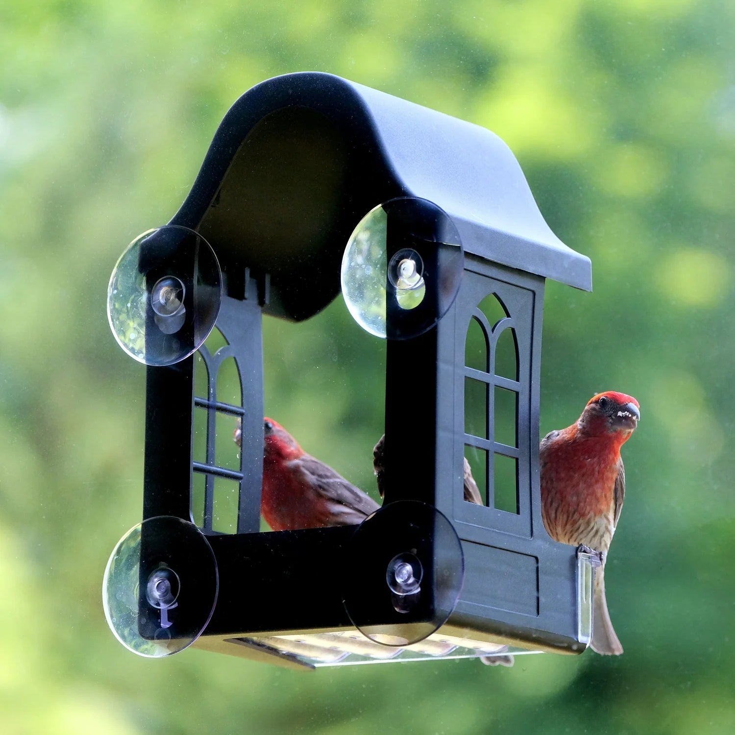 Garden View Window Feeder