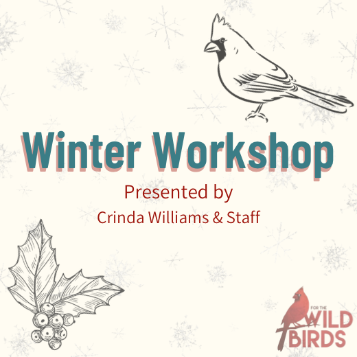 Winter Workshop - December 17th Event Ticket