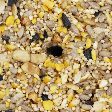 Woodpecker Crunch 32 oz Seed Tower Cylinder