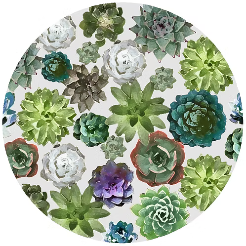 Andrea's Trivets - 6" Silicone Jar Openers