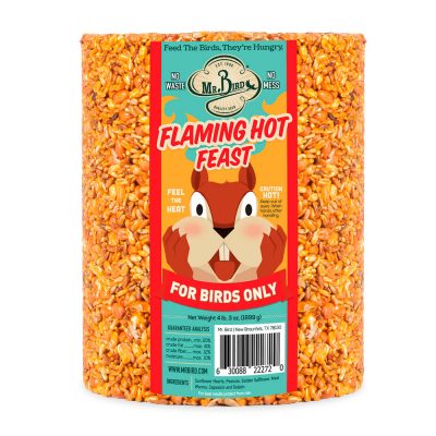 Flaming Hot Seed Cake - Large Cylinder