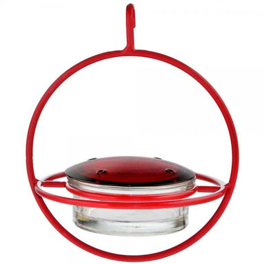 Hanging Sphere Hummingbird Feeder with Perch