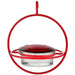 Hanging Sphere Hummingbird Feeder with Perch