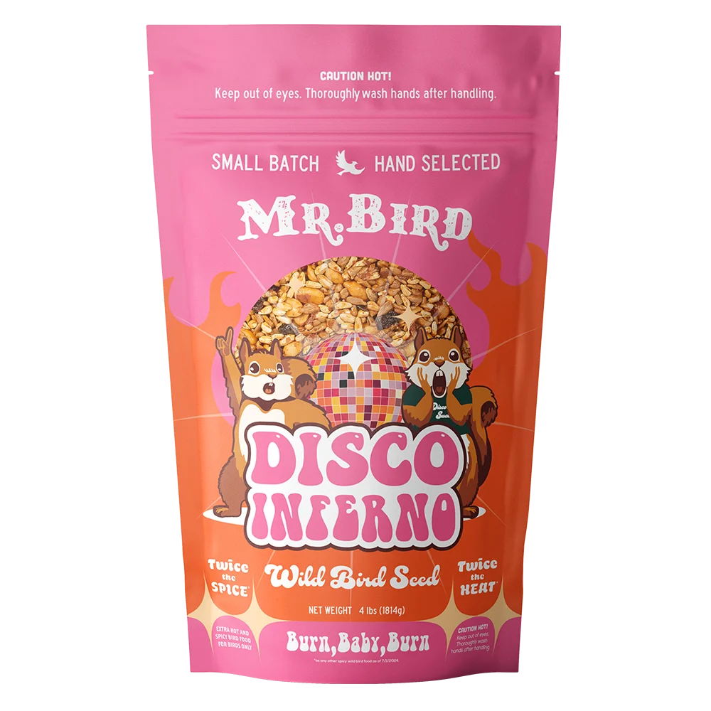 Disco Inferno