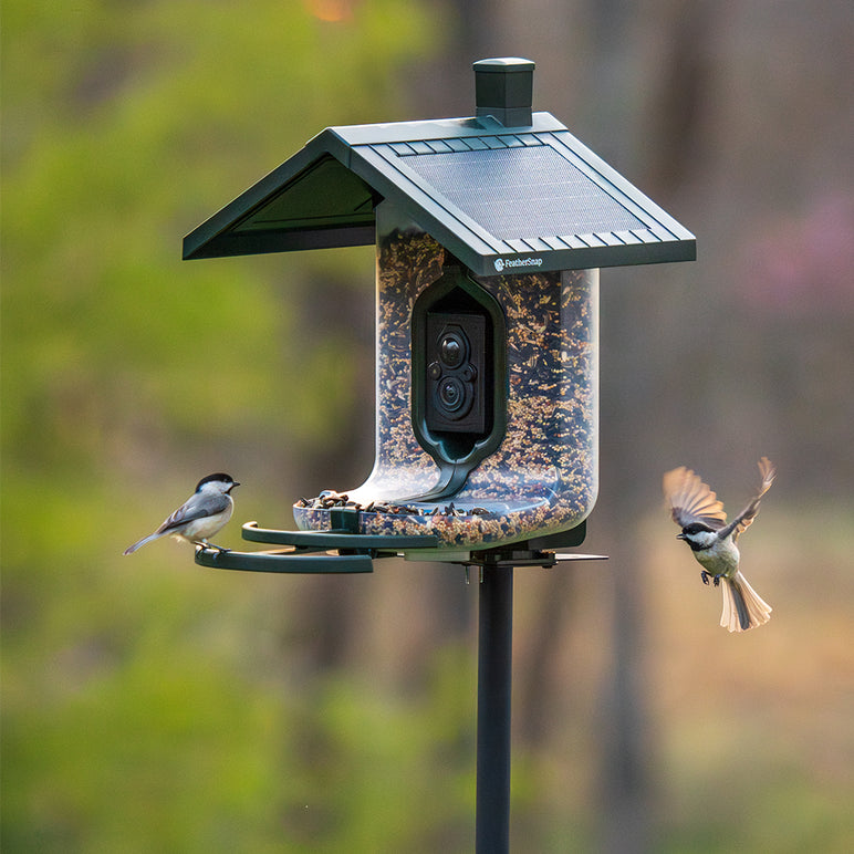 FeatherSnap Scout solar WiFi camera bird feeder by Tactacam, additional product view