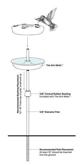 Erva DAZ Innovations Pole-Mount Ant Moat