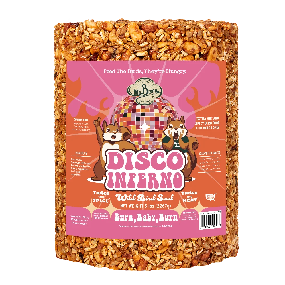 Disco Inferno Seed Cakes - Large Cylinder
