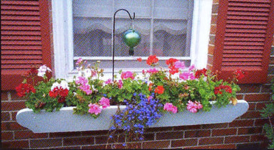 Erva 24" Red Hummingbird Feeder Hanger