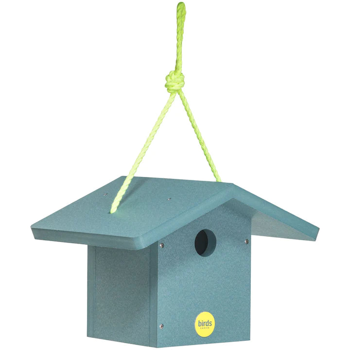 Wren House- Color Pop Collection* - Teal