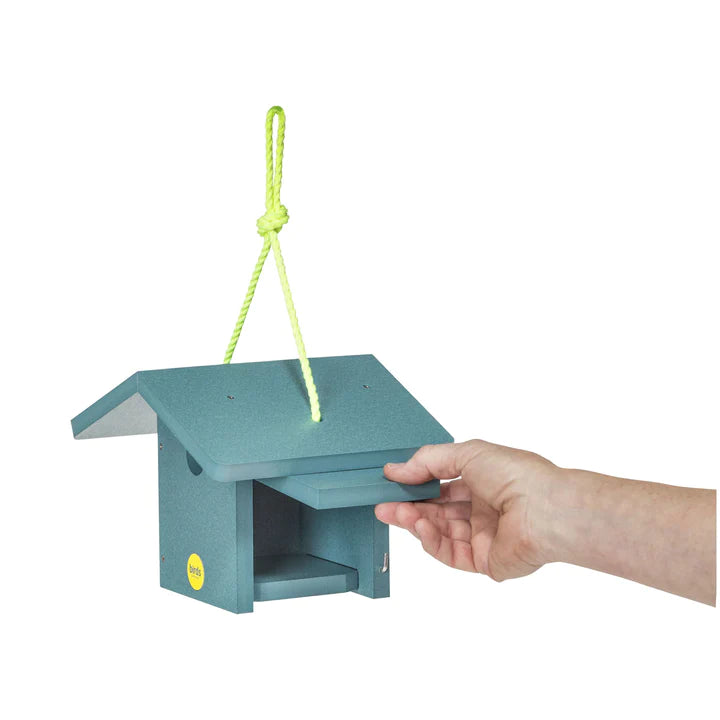 Wren House- Color Pop Collection* - Teal