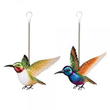 Bird Bouncie - Hummingbird Asst Colors