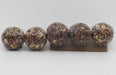 Pecan Tweet Seed Ball 5 pack