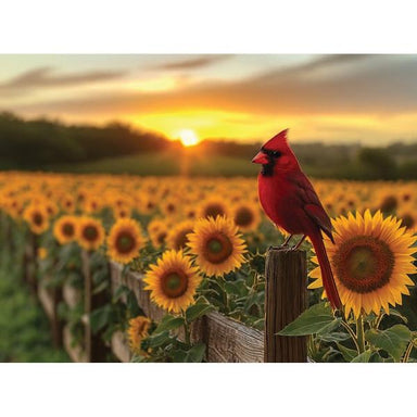Cardinal Sunset 1000 pc Puzzle
