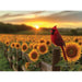 Cardinal Sunset 1000 pc Puzzle