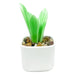 Milano Art Glass - Silver Snake Plant