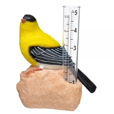 Goldfinch Rain Gauge 1