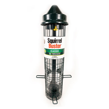 Squirrel Buster