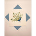 Quilled Card - Peacock
