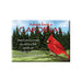 Advice for Life Jumbo Magnet - Cardinal