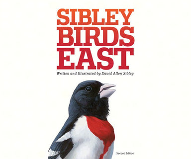 Sibley FG to Birds East