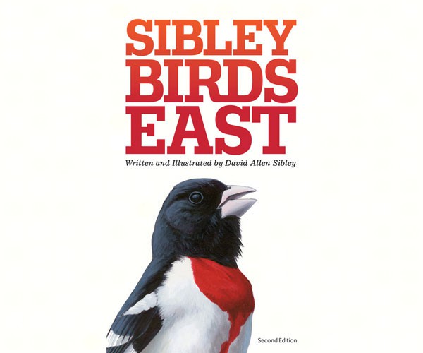 Sibley FG to Birds East