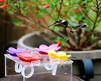 4pc Plexiglass Hummingbird Ring Feeder Trainer