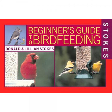 Beginner's Guide to Bird Feeding
