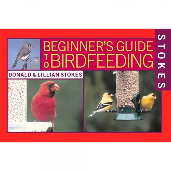Beginner's Guide to Bird Feeding